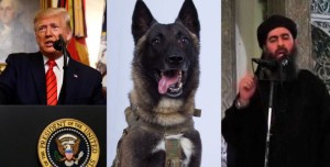 Trump-Dog-Baghdadi-790x400
